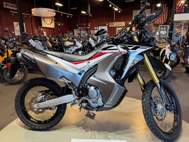 2018 Honda CRF 250L Rally at Martin Moto