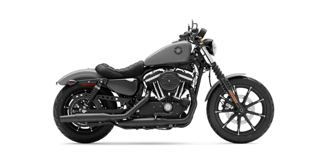 2022 Harley-Davidson Sportster Iron 883 at South East Harley-Davidson