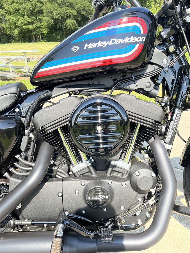 2021 Harley-Davidson Iron 1200 Iron 1200 at Harley-Davidson of Asheville