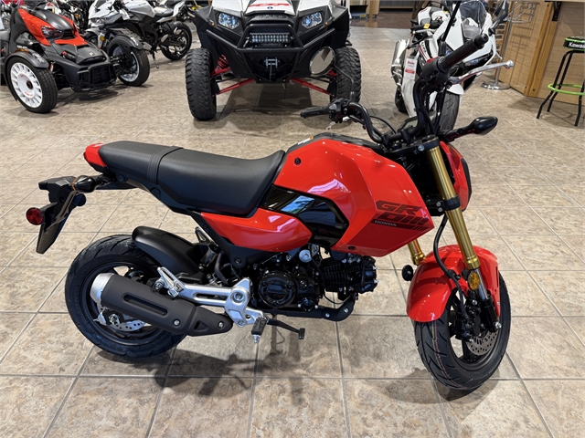 2025 Honda Grom Base at Ehlerding Motorsports