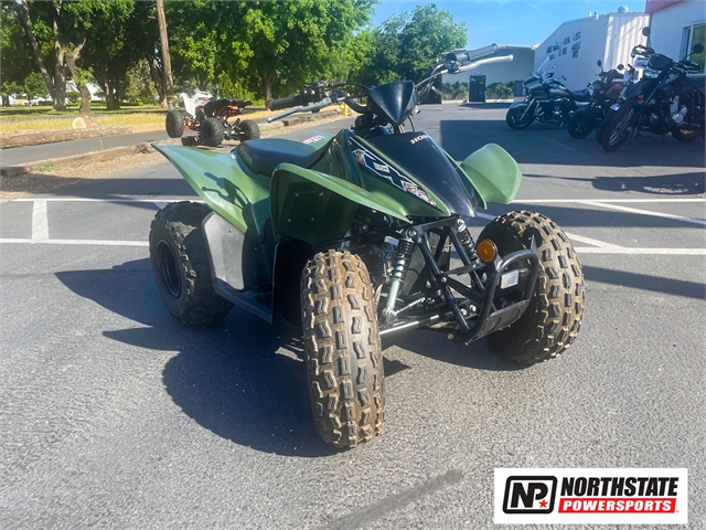 2019 Honda TRX 90X at Northstate Powersports