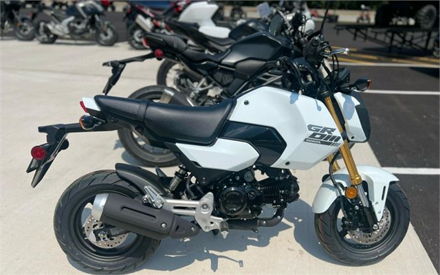 2025 Honda Grom Base at Kent Motorsports, New Braunfels, TX 78130