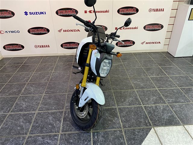 2024 Honda Grom SP at Cycle Max