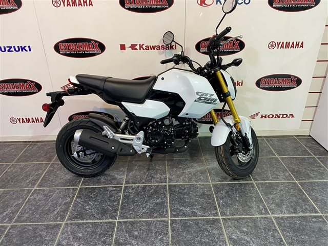 2024 Honda Grom SP at Cycle Max