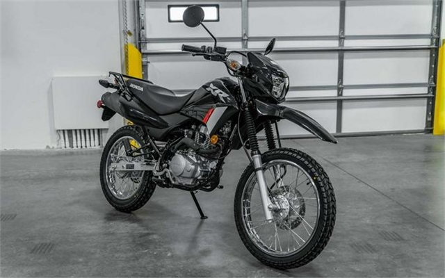 2024 Honda XR 150L at Kent Motorsports, New Braunfels, TX 78130