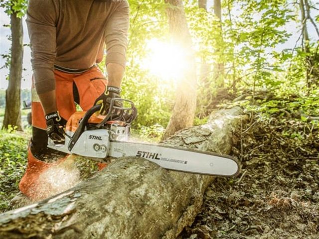 Ms291 on sale stihl chainsaw