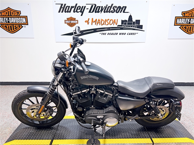 2014 Harley-Davidson Sportster Iron 883 at Harley-Davidson of Madison