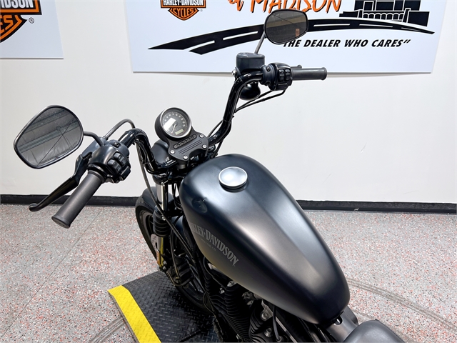 2014 Harley-Davidson Sportster Iron 883 at Harley-Davidson of Madison