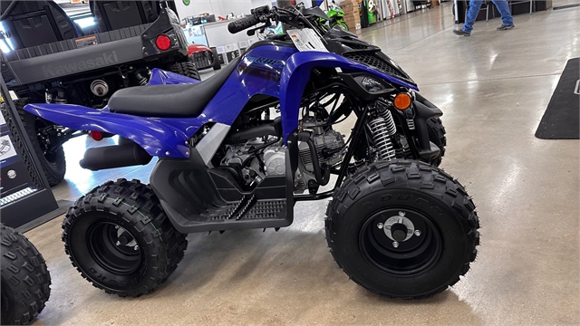 2025 Yamaha Raptor 110 at ATVs and More