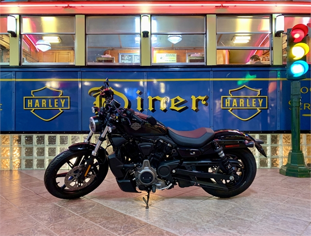 2024 Harley-Davidson Sportster Nightster at South East Harley-Davidson