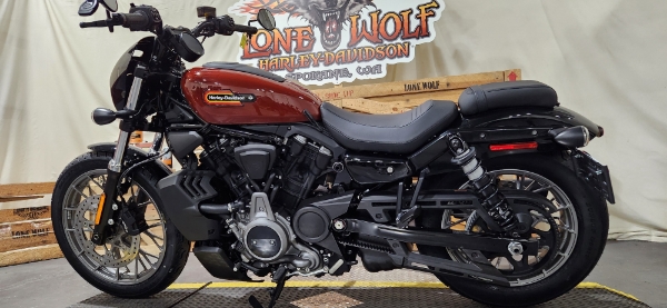 2024 Harley-Davidson Sportster Nightster Special at Lone Wolf Harley-Davidson