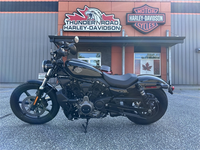 2023 Harley-Davidson Sportster Nightster at Thunder Road Harley-Davidson