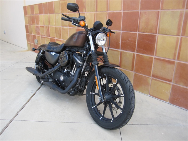 2019 Harley-Davidson Sportster Iron 883 at Laredo Harley Davidson