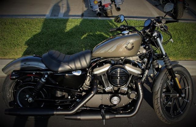 2019 Harley  Davidson  Sportster Iron 883  Quaid  Harley  