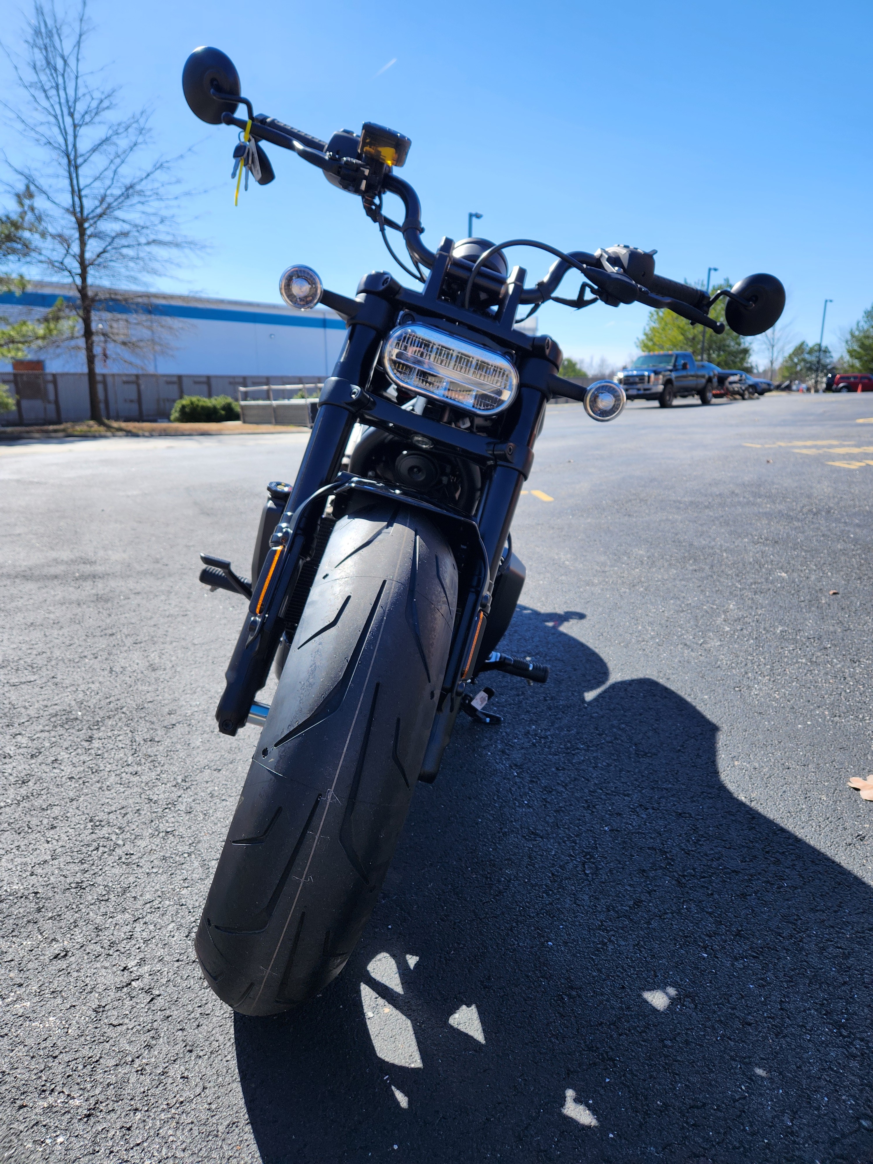 2024 Harley-Davidson Sportster at Richmond Harley-Davidson