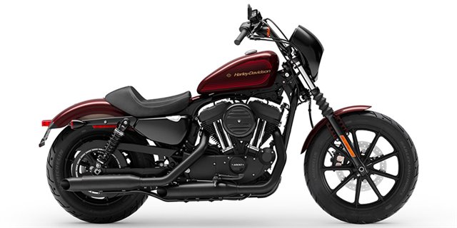 2019 Harley-Davidson Sportster Iron 1200 at Great River Harley-Davidson