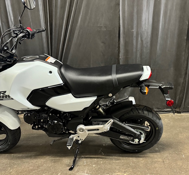 2025 Honda Grom Base at Powersports St. Augustine