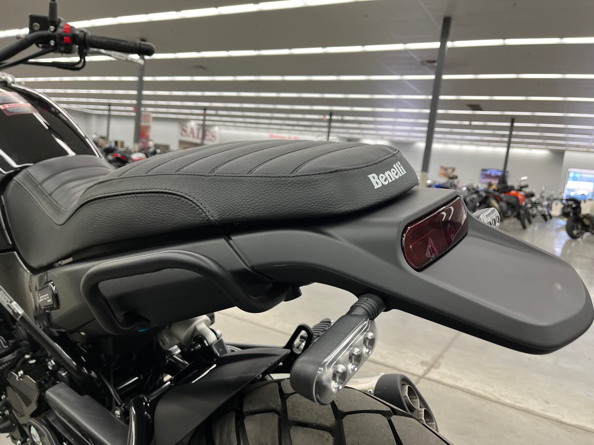 2022 Benelli Leoncino 500 at Aces Motorcycles - Denver
