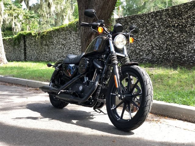 2020 Harley-Davidson XL883N - Sportster Iron 883 Iron 883 at Powersports St. Augustine