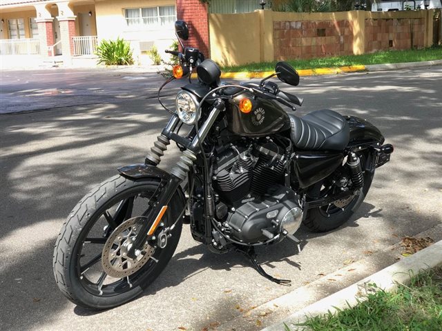 2020 Harley-Davidson XL883N - Sportster Iron 883 Iron 883 at Powersports St. Augustine