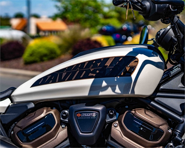 2022 Harley-Davidson Sportster at Speedway Harley-Davidson