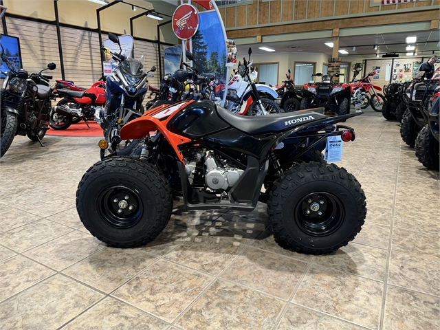 2024 Honda TRX 90X at Ehlerding Motorsports