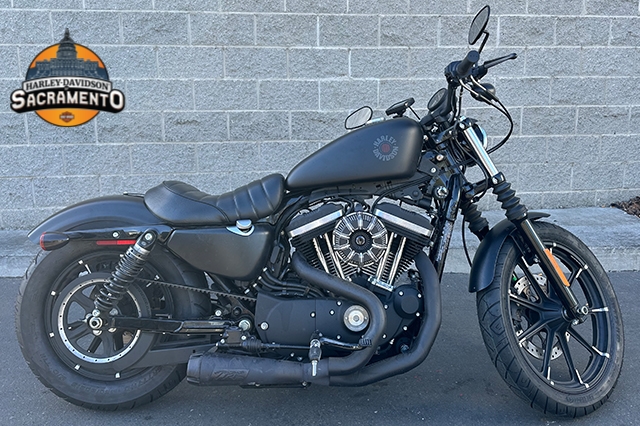 2020 Harley-Davidson Sportster Iron 883 at Harley-Davidson of Sacramento