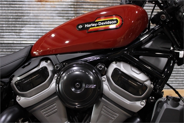 2024 Harley-Davidson Sportster Nightster Special at Texarkana Harley-Davidson