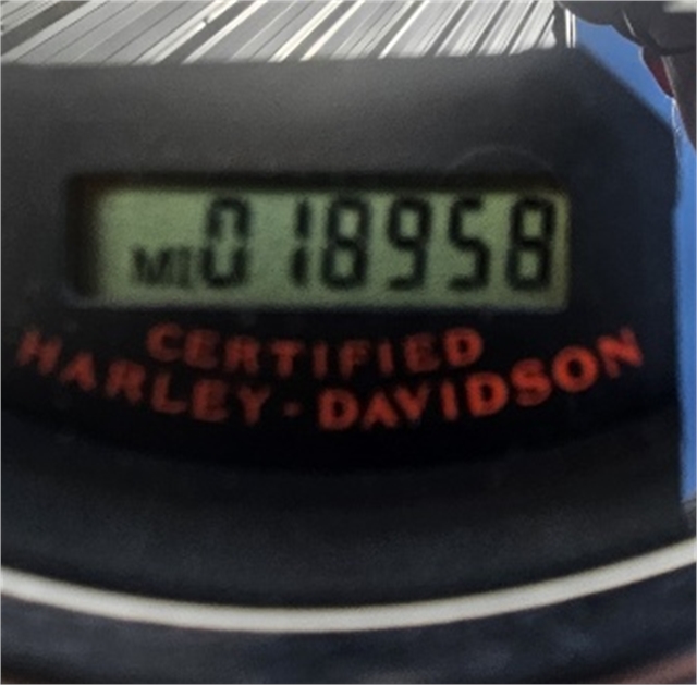 2006 Harley-Davidson Softail Standard at RG's Almost Heaven Harley-Davidson, Nutter Fort, WV 26301