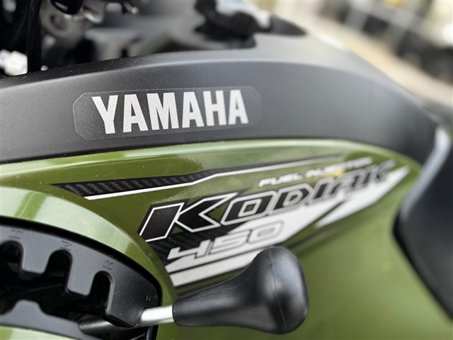 2020 Yamaha Kodiak 450 at Cycle Max