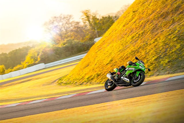 2025 Kawasaki Ninja ZX-4RR KRT Edition ABS at ATVs and More