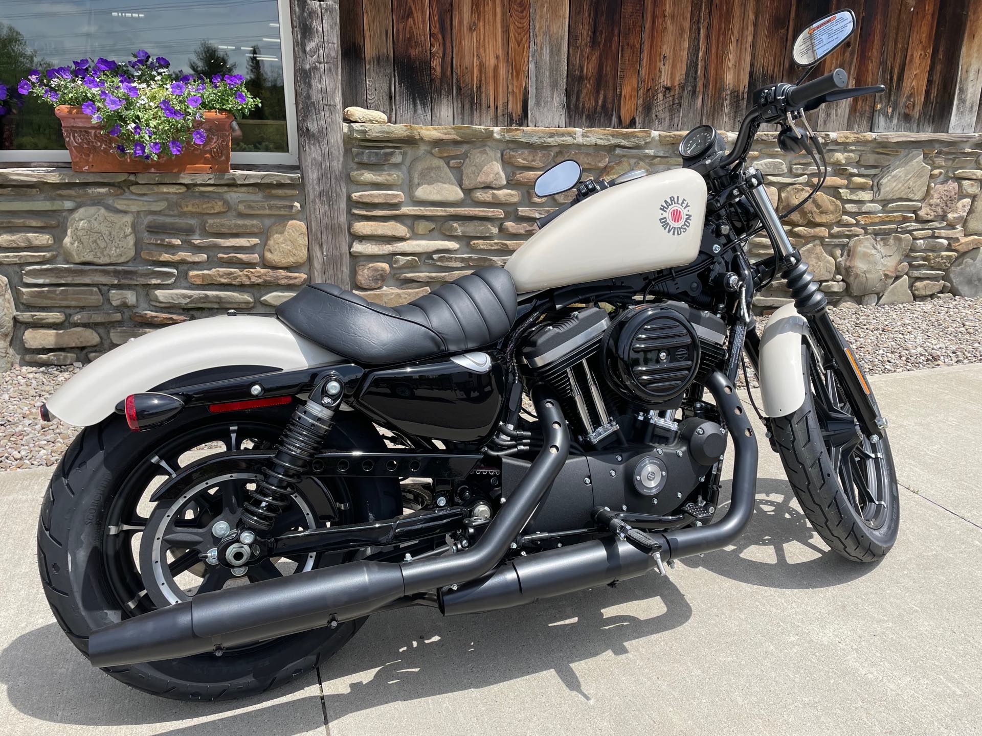 2022 Harley-Davidson Sportster Iron 883 at Arkport Cycles