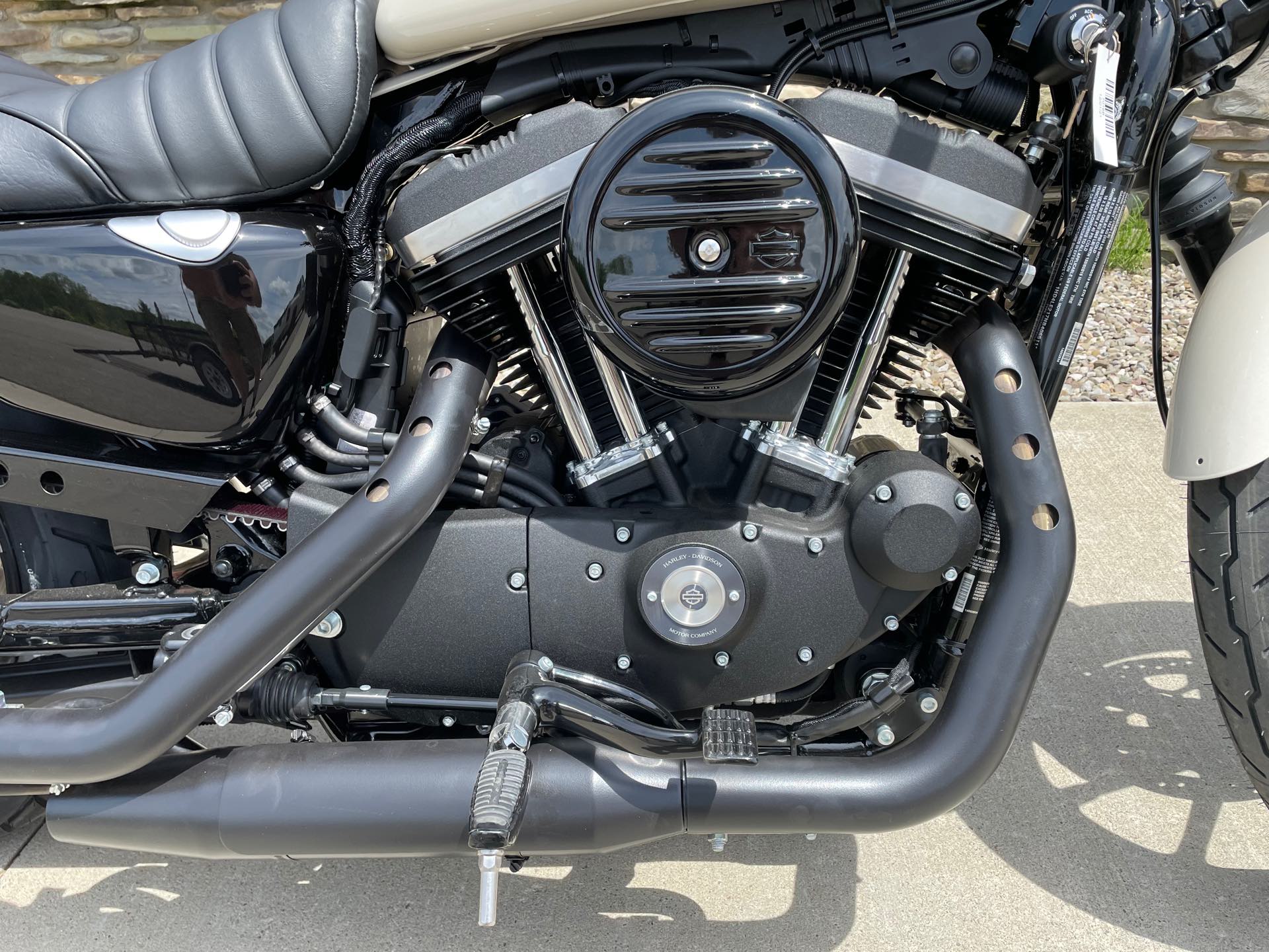 2022 Harley-Davidson Sportster Iron 883 at Arkport Cycles