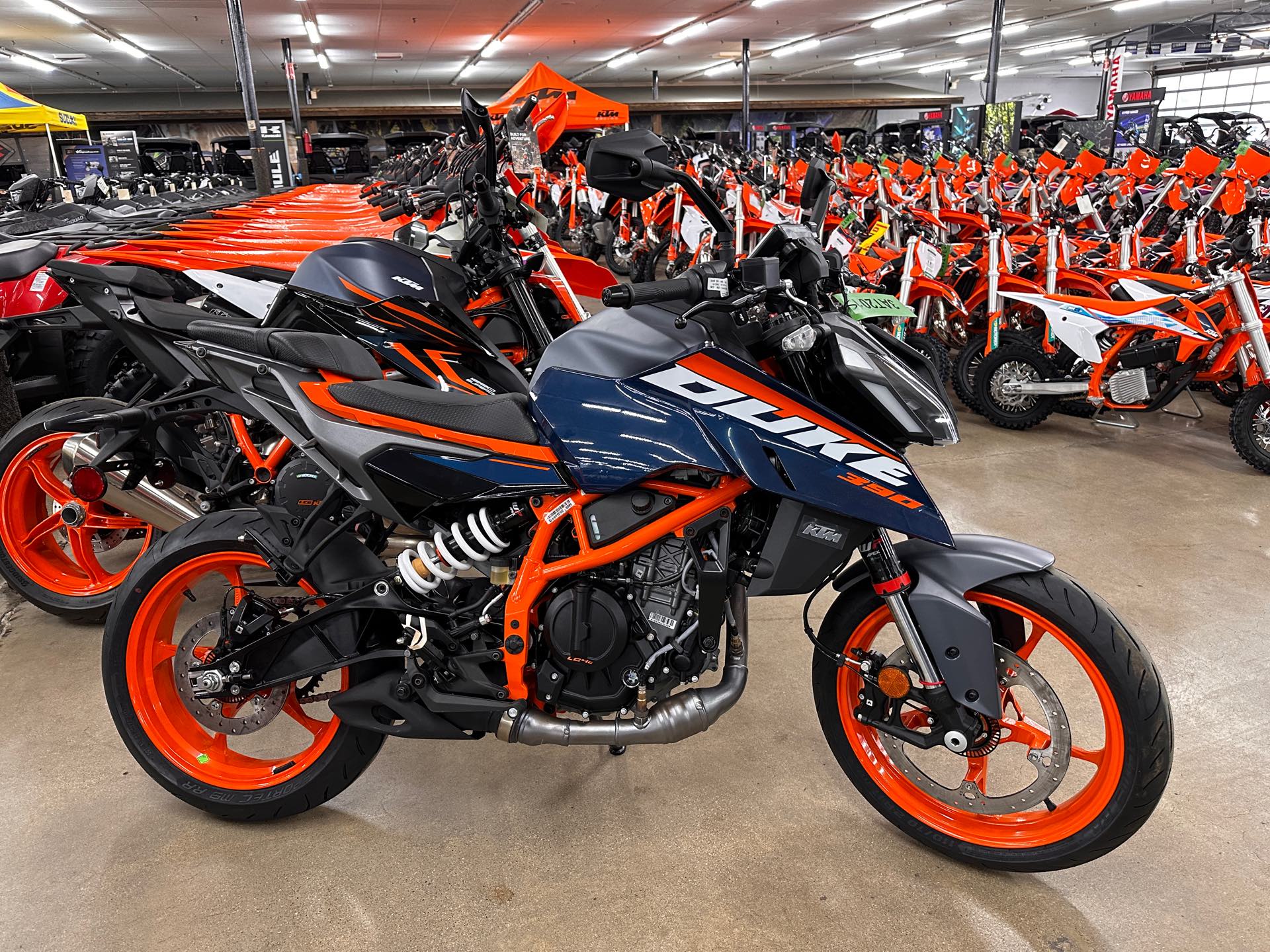 2024 KTM Duke 390 at ATVs and More