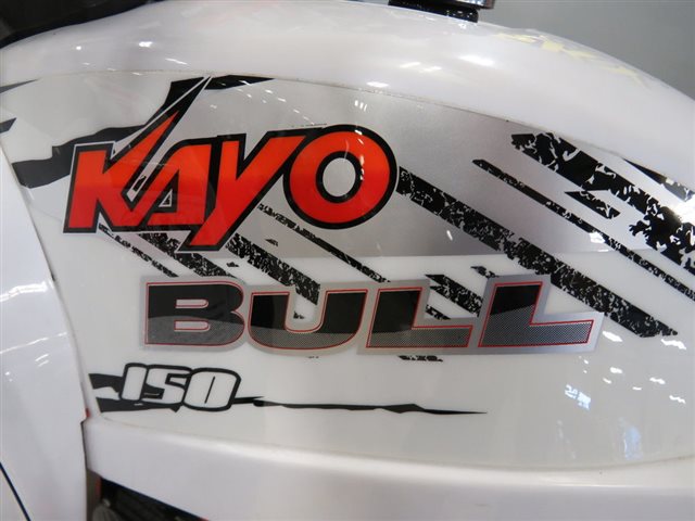 2021 Kayo Bull 150 Bull 150 at Sky Powersports Port Richey