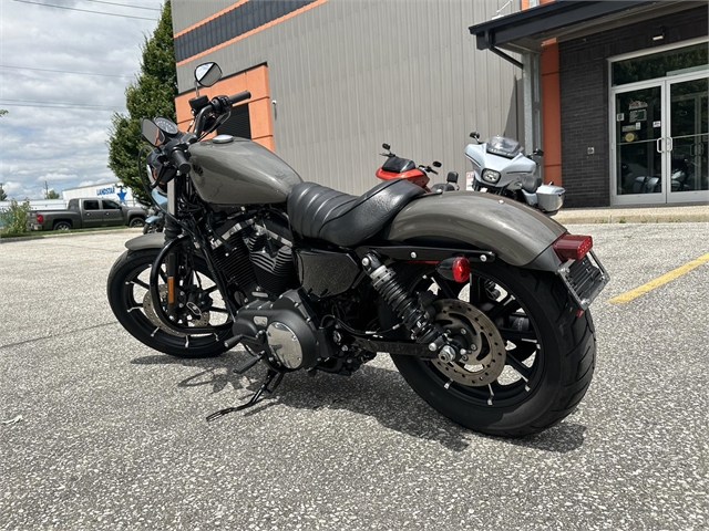 2019 Harley-Davidson Sportster Iron 883 at Thunder Road Harley-Davidson