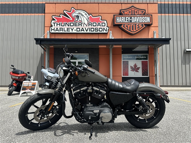 2019 Harley-Davidson Sportster Iron 883 at Thunder Road Harley-Davidson