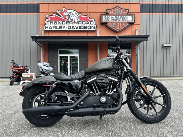 2019 Harley-Davidson Sportster Iron 883 at Thunder Road Harley-Davidson