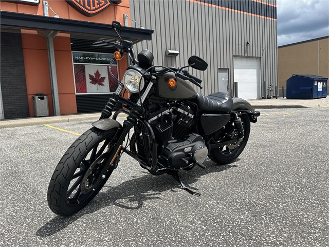 2019 Harley-Davidson Sportster Iron 883 at Thunder Road Harley-Davidson