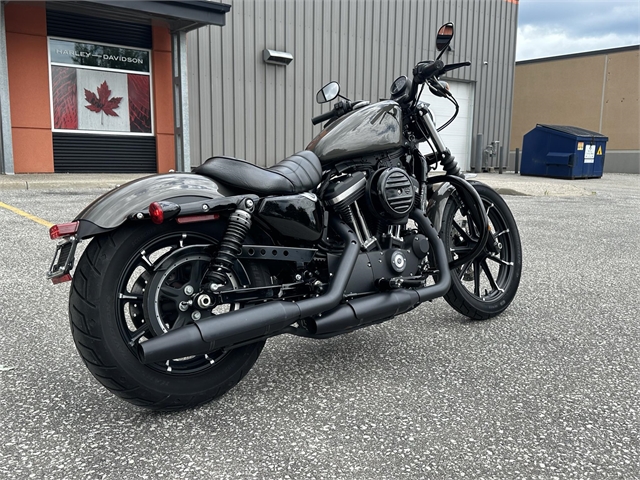 2019 Harley-Davidson Sportster Iron 883 at Thunder Road Harley-Davidson