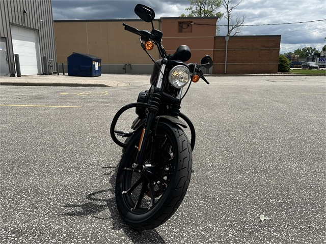 2019 Harley-Davidson Sportster Iron 883 at Thunder Road Harley-Davidson