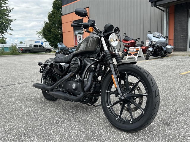 2019 Harley-Davidson Sportster Iron 883 at Thunder Road Harley-Davidson