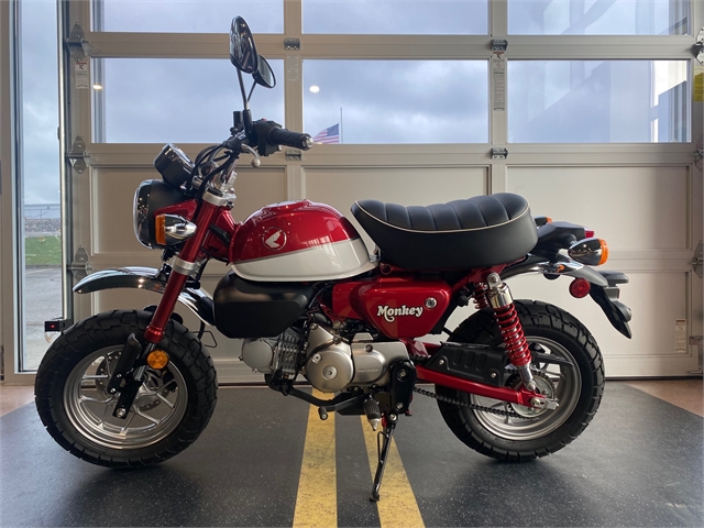 2020 Honda Monkey Base at Indian Motorcycle of Northern Kentucky