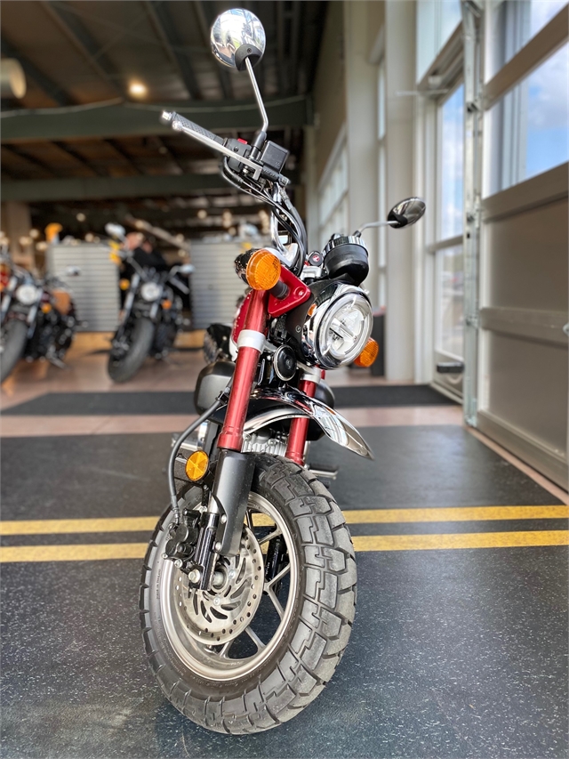 2020 Honda Monkey Base at Indian Motorcycle of Northern Kentucky