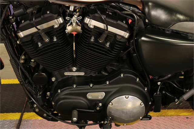 2019 Harley-Davidson Sportster Iron 883 at Texas Harley