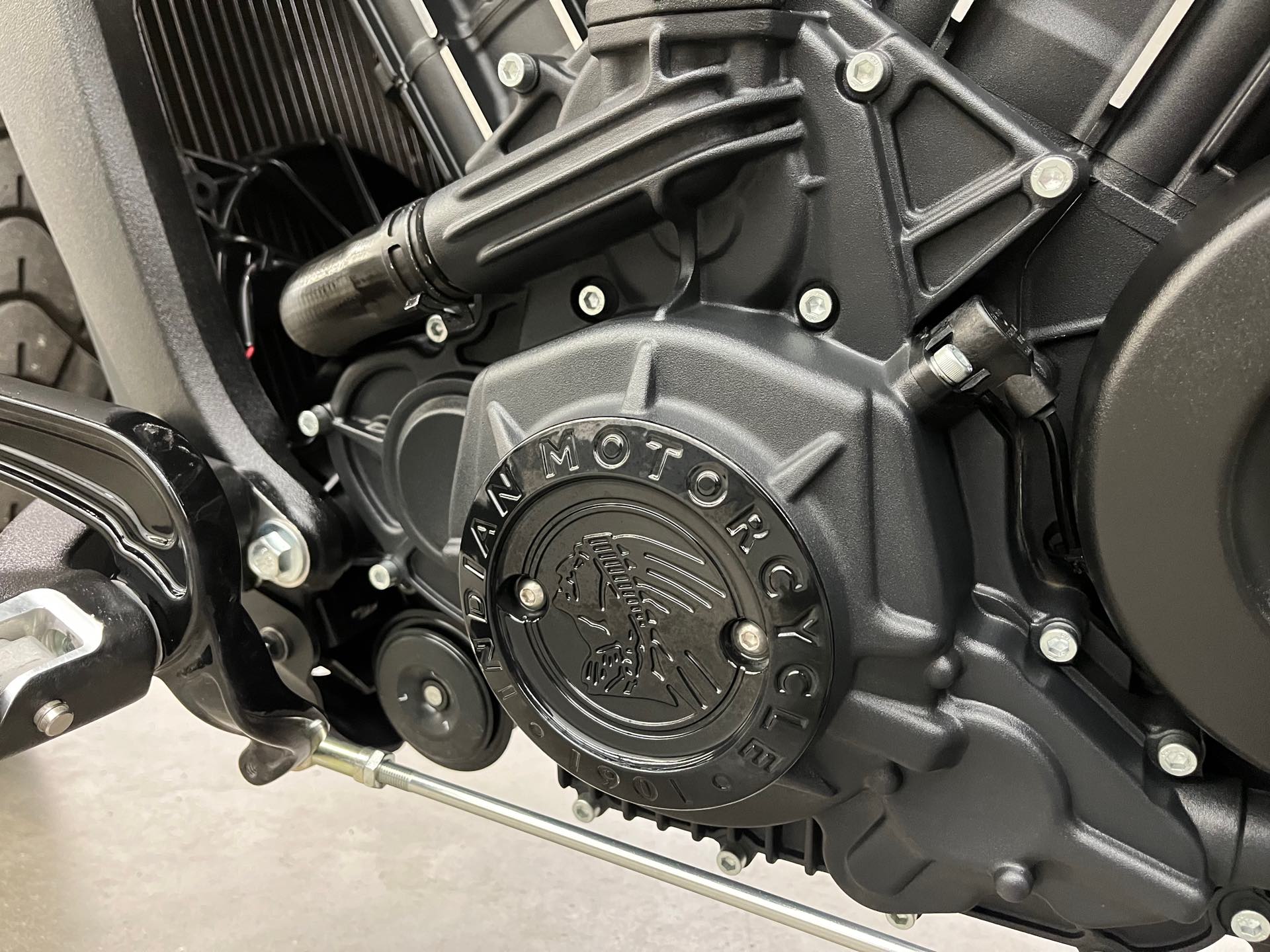2019 Indian Motorcycle Scout Base at Aces Motorcycles - Denver