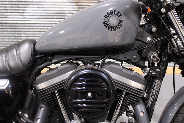 2022 Harley-Davidson Sportster Iron 883 at Texarkana Harley-Davidson