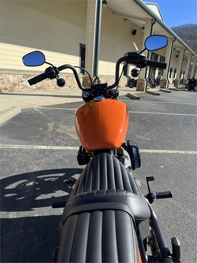 2024 Harley-Davidson Softail Street Bob 114 at Harley-Davidson of Asheville