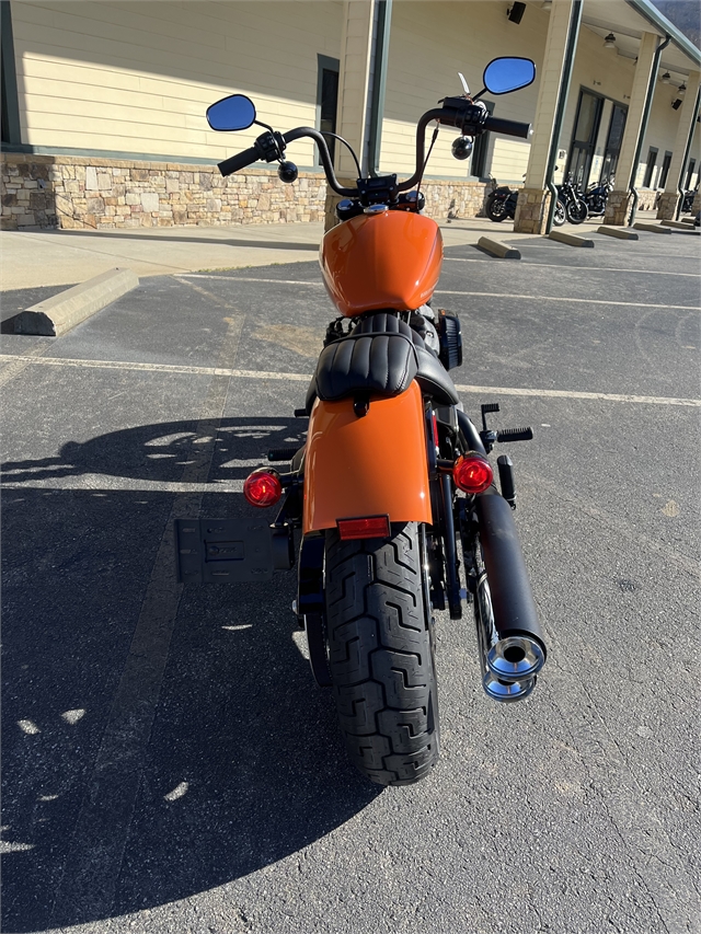 2024 Harley-Davidson Softail Street Bob 114 at Harley-Davidson of Asheville