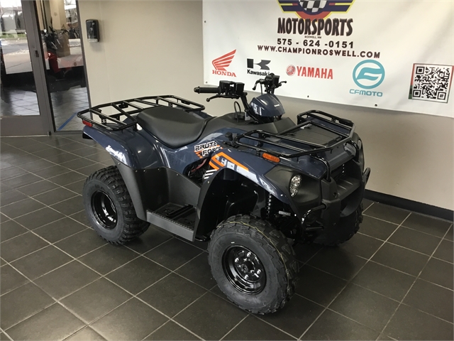 2024 Kawasaki Brute Force 300 at Champion Motorsports